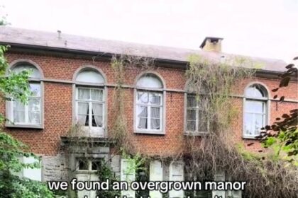 An abandoned Belgian manor frozen in time has stunned viewers with its wine-filled basement, eerie paintings, and untouched decor - some say the vintage bottles are worth a fortune.